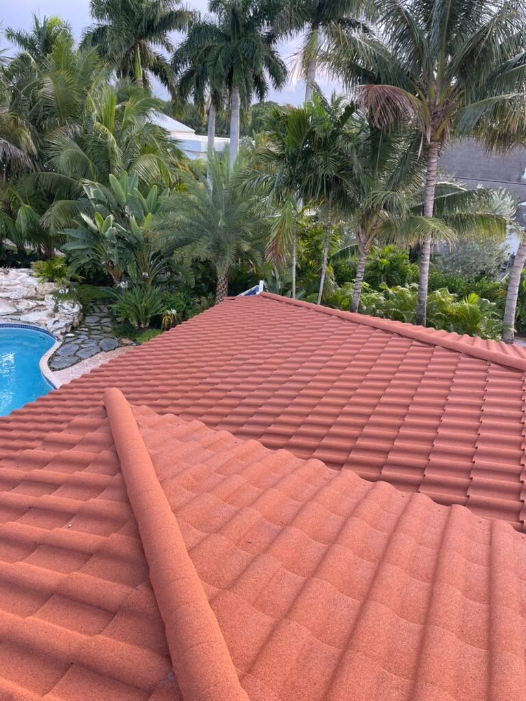 Tile roof valley with a swimming pool visible through the palm trees below