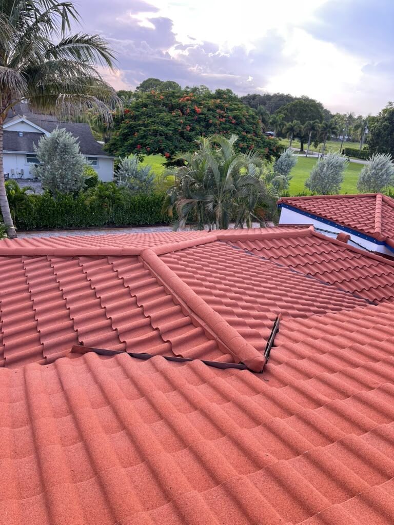 Barrel tile roof valley detail with palm trees at sunset